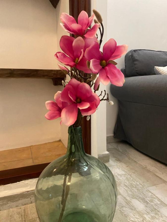 Apartamento La Pepa - Santa Cruz De La Palma Santa Cruz de la Palma  Kültér fotó